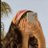 bash_iii8's profile image
