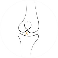 Alvaro Rojas Leandro (@arojasleandro) 's Twitter Profile