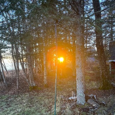 drewPdrew's profile picture. 