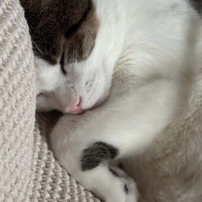 nicoleandtrevie's profile picture. 