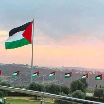 AlhakeemJa49591's profile picture. القدس يجمعنا