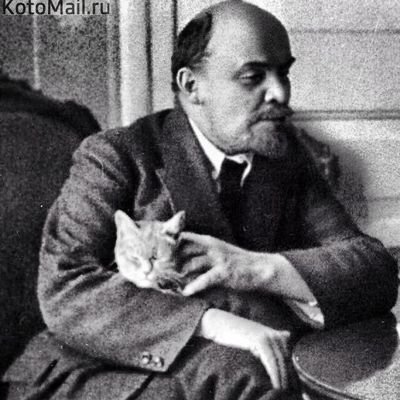 meowwyt's profile picture. ML-MZT☭