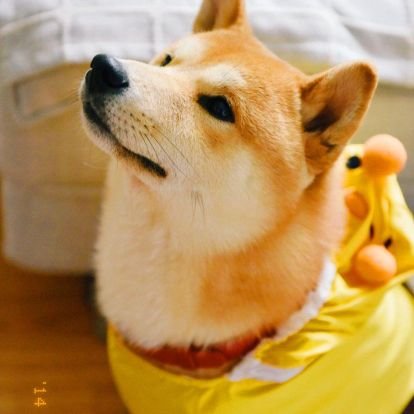 happygo007's profile picture. 