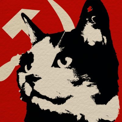 Um gato com duas mãos esquerdas
#cats are #comrades
☭