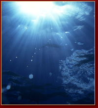 spslife's profile picture. スピリチュアルについての最新ニュース、気になる話題を集めて配信しています。
精神世界に興味がある方と繋がりになりたいです。また何かこんな情報が欲しいなどリクエストがあったら連絡下さい。可能な限り努力します。