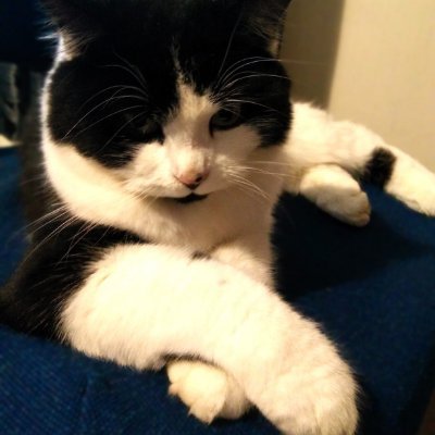 Thorney1974's profile picture. Old Gamer on Xbox and PC. @Arsenal