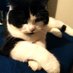 Thorney1974 (@thorney1974) Twitter profile photo Thorney1974 (@thorney1974) Twitter profile photo