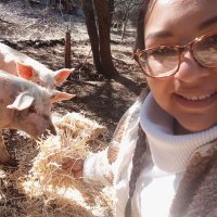 LittlePiggiesFarmClub🐷CutiePizzle (@lpfcnft) 's Twitter Profile Photo LittlePiggiesFarmClub🐷CutiePizzle (@lpfcnft) 's Twitter Profile Photo