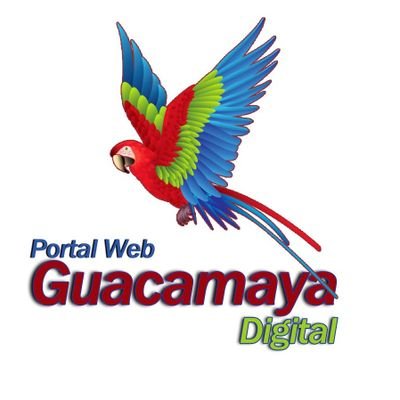 Portal de noticias en Venezuela.
Contacto guacamayadigital2021@gmail.com 
Miranda, Venezuela. https://t.co/blZcsuqkak