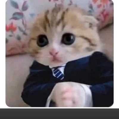 debbiec830's profile picture. 