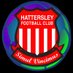 HattersleyFC (@hattersley_fc) Twitter profile photo