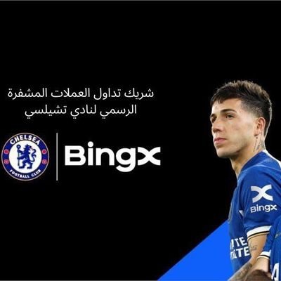 Bingx Egypt Manager