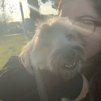 Ivy Fisher (@fisher_ivy94672) 's Twitter Profile