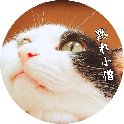 沼は陳情令。陈情令。ネタバレ失言あるので陳情令未履修の方はご容赦を。猫とか猫とか猫とかと猫の下僕的発言とかと犬とか血迷って妄言暴言迷言とかと食べ物とか。DMはフォローしているアカウントに限定しています。