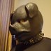 Pig_gy_AD (@lyonardz) Twitter profile photo Pig_gy_AD (@lyonardz) Twitter profile photo