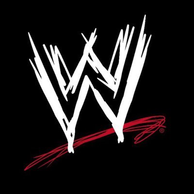 Wrestling Fan