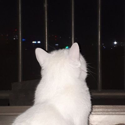 zaleahuxley's profile picture. idgaf