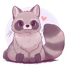 Raccoons:3