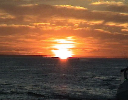 WillyHepburn's profile picture. Structural Engineer Specialising in Temporary Support Design and Engineered Demolition