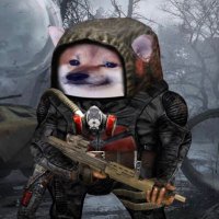 Brendan Lowry 💙💛🇵🇸 (@brendanlorlowry) 's Twitter Profile Photo