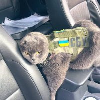 Vladimir (@vldwt) 's Twitter Profile