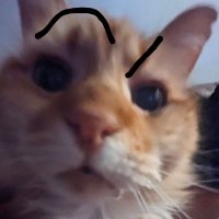 wolfper (@wolfper_vr) 's Twitter Profile Photo wolfper (@wolfper_vr) 's Twitter Profile Photo