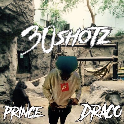 PrinceDraco2x's profile picture. 