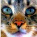 Waino Daugherty (@wainod49794) Twitter profile photo Waino Daugherty (@wainod49794) Twitter profile photo