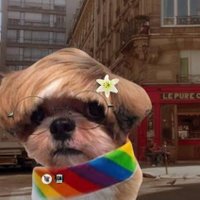 lu banana do sesc🍌 (@luvcr_) 's Twitter Profile Photo lu banana do sesc🍌 (@luvcr_) 's Twitter Profile Photo