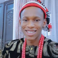 The only king in igbo land(@VitalisEze48939) 's Twitter Profile Photo