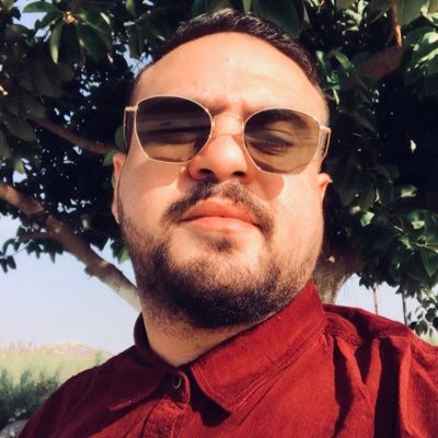 Alaa Shehada Profile
