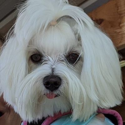 LaurieW_Resist Profile Picture