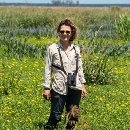 Bióloga | Ecología | Comportamiento | Aves | Curiosa mezcla de rulos, preguntas, pájaros y origami convergen en un solo saco