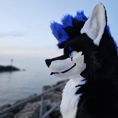 VespHusky Profile Picture