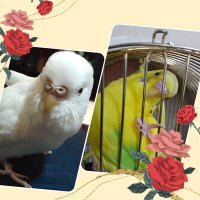 🎆🎇幸(yuki)🐥💐🎇🎆 (@htpowqnngflvvcx) 's Twitter Profile Photo 🎆🎇幸(yuki)🐥💐🎇🎆 (@htpowqnngflvvcx) 's Twitter Profile Photo
