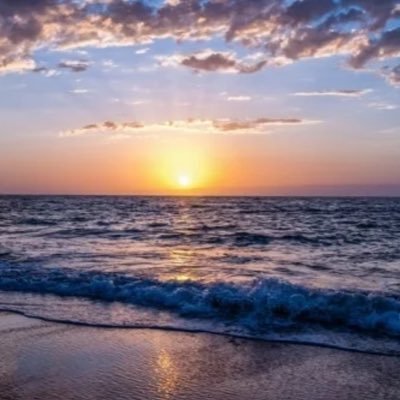 manarram1's profile picture. 