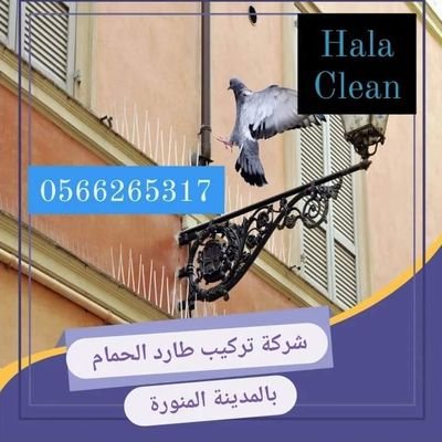 #شركة_تركيب_اشواك_مانع_الطيور_بالمدينة_المنورة 0566265317 /هلا كلين\ رقم شركة مكافحة الحمام المدينة المنورة تركيب اغطية مكيفات فيبر جلاس تركيب مانع طارد حمام