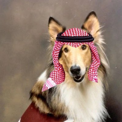 Oil Money Reveille here to save your NIL issues. Not affiliated with the Real Queen of Aggieland @reveille