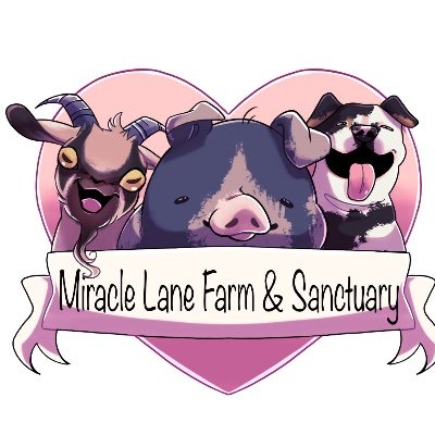 501c3 non-profit state licensed farm animal & companion animal rescue & sanctuary located in Maine