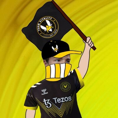 • #VforVictory  🐝💛🖤  
• Le sang des Golden Hornets coule dans mes veines 🐝
• Friand de notre cher Twitch fr 🟣