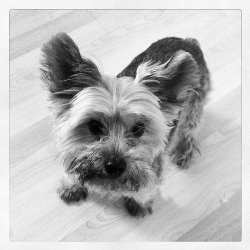 aww_HEck's profile picture. 