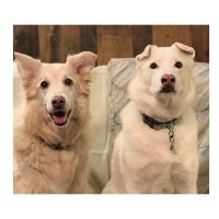 Sadie & Sophie ☀️ (@sadie_424) 's Twitter Profile Photo Sadie & Sophie ☀️ (@sadie_424) 's Twitter Profile Photo