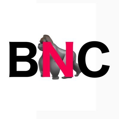 Main account @BNCStudios_. Nothing but raceplay. If you can't handle it, unfollow.