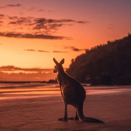 Mac202013's profile picture. Retired after 44 years as a teacher, school leader, schools system administrator, and university instructor.  Father of 3, grandfather of 4.