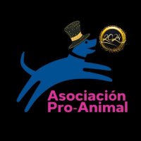 Pro-Animal(@Proanimal_gt) 's Twitter Profile Photo