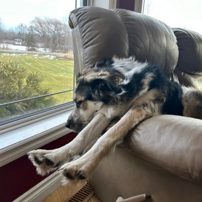 lrf122448's profile picture. 