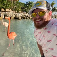 Steven David (@stevedavid) 's Twitter Profile