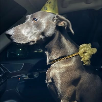 gcgiove's profile picture. Heart Failure Cardiologist, MD MPH