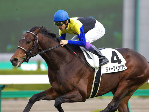 馬優先主義～ディープ血統やクラシック中心。そしてコスパが良い飲食店で日々会合を行い長い日は⑫時間連続も。ここ数年は連日の大阪飲み。魚＆肉、麺類、カレー類、格闘系、音楽系／勿論㉝年以上携わる生業の芸能TV系も大好きなので現在細々とそれ系会社を経営し⑭期目｡時代も令和なので毒吐き少なめ。コロナ禍以降は会合ポスト半自粛…😅