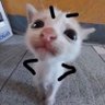 topeka_da_1's profile picture. i play smash watch anime and this account is for following and supporting my nsfw friends cus yk the other is my business account